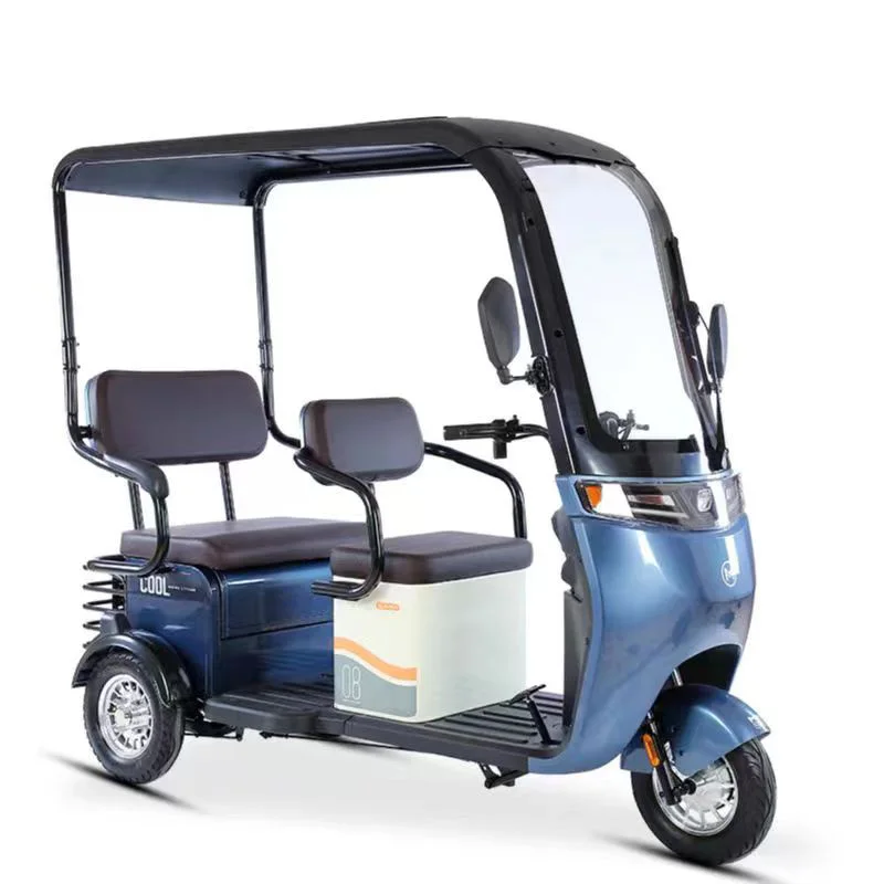 Wholesale 800W 48V/60V Electric Tricycle 3 Wheels Scooter For The Elderly And The Disabled Multi-functional Seat Design