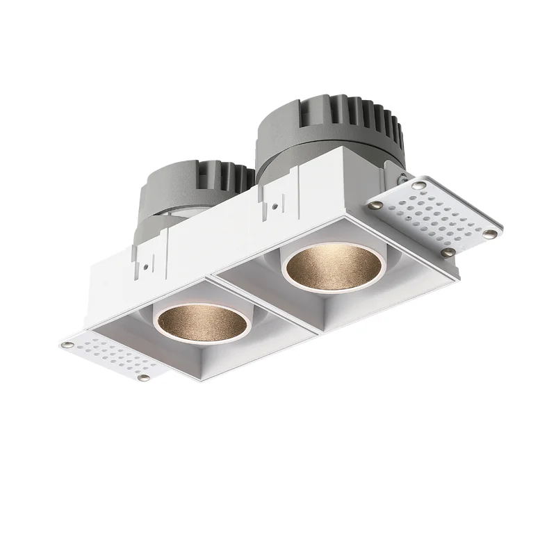 Frameless LED Spotlight Double Head 2*10W LED Recessed Adjustable Downlight Spotlight Ceiling Mounted Light