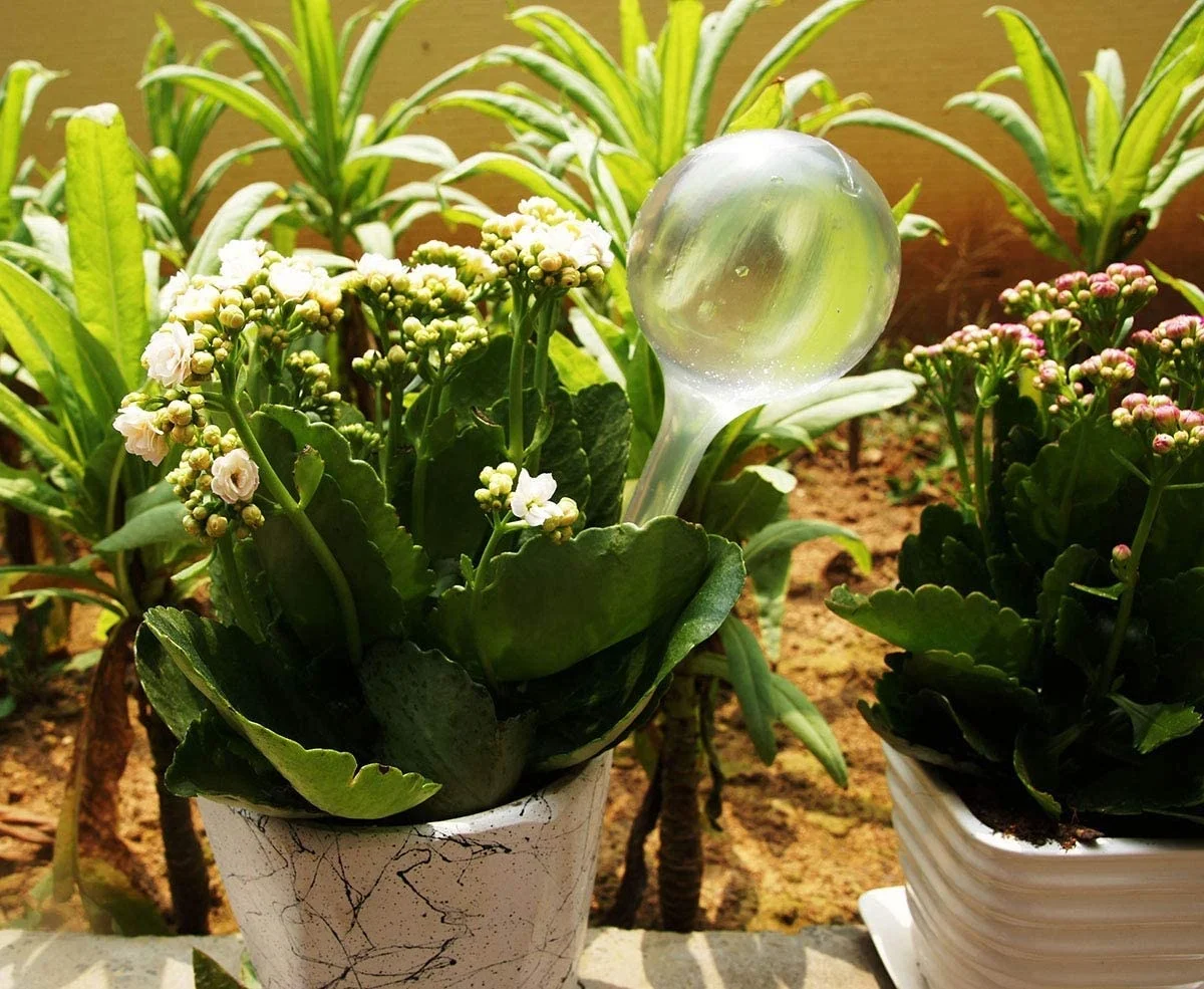 Indoor&outdoor Automatic Self Watering Plant Ball Bulbs Plastic Garden Plant Self Watering Globes for Plants and Flowers