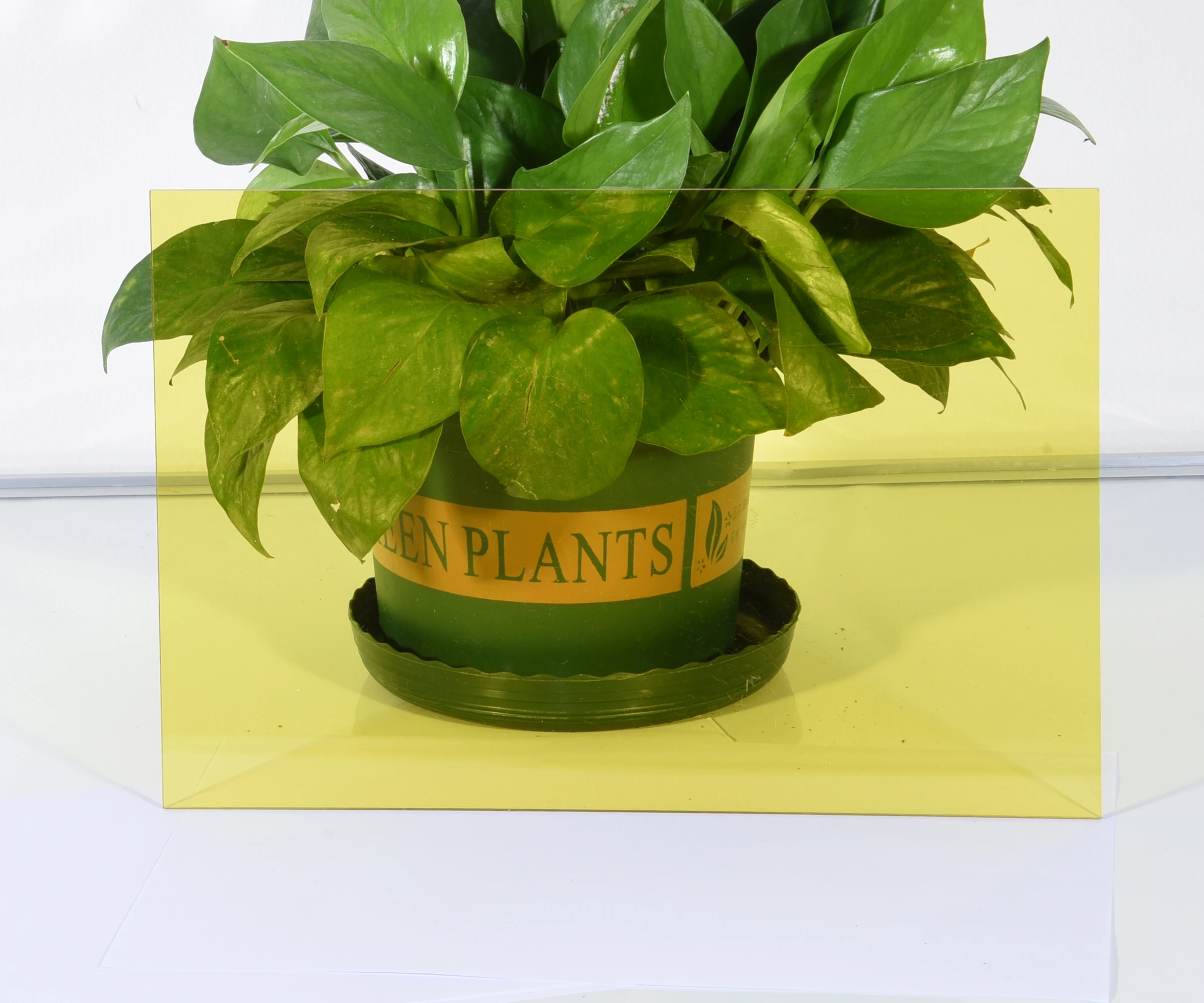 plaque membrane  monolithic clear porous polycarbonate membrane