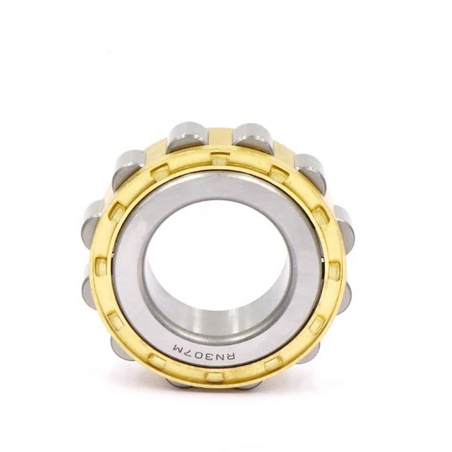 Good quality RN 307 RN307M Eccentric Cylindrical Roller bearing