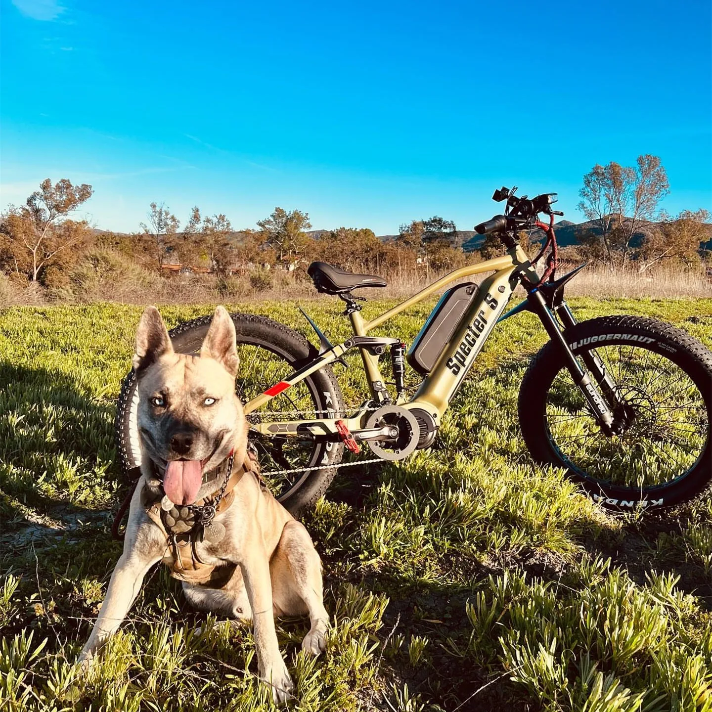 Australia Warehouse 3-7 Days 48V 1000W Electric Bicycle Bafang Torque Sensor G510 Mid Drive Fat Tire Electric Bikes Ebike