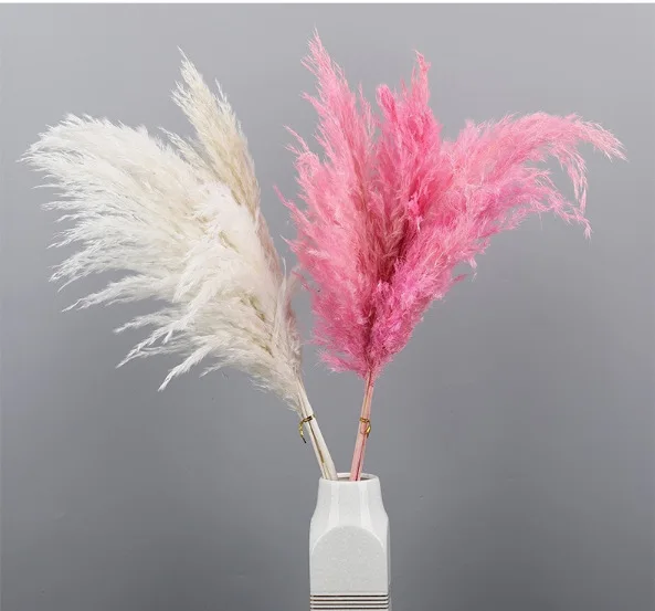 Amazon Popular products  70-90cm Artificial Red Small Pampas Grass