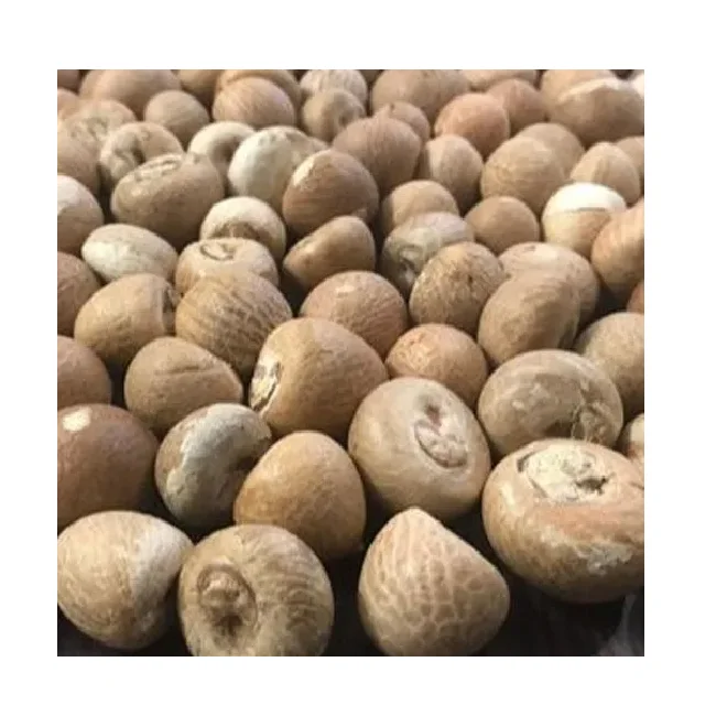 100 % Natural Export Quality Brown Color Dried Betel Nut Premium Grade Factory Price Best Selling Areca Whole Betel Nut
