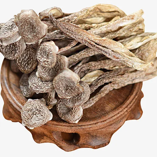Dried Velvet Mushroom Best Price High  Organic Mushroom