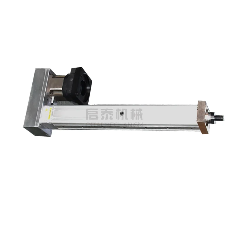 Customize Servo Electric Cylinder