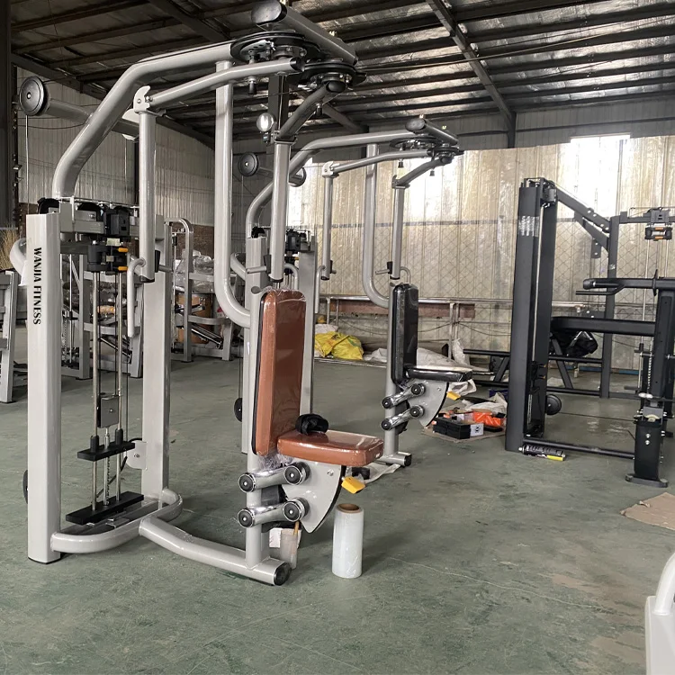 Source Factory Pin Loaded Selection Workout Dezhou Fitness Gym Equipment Rear Delt/Pec Fly For Exercise