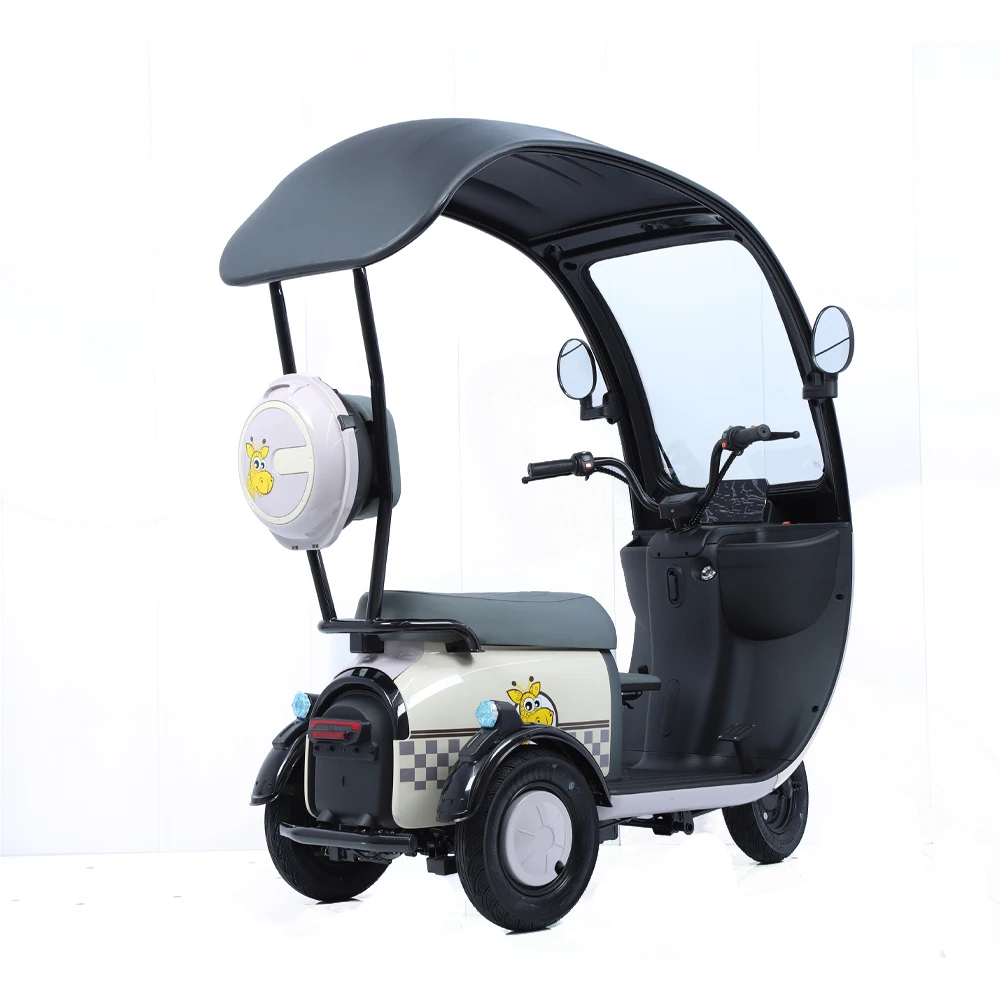 2024 New E-Bike 3 Wheels Electric Scooter 800W Family Use Electric Tricycle Bike For Adults