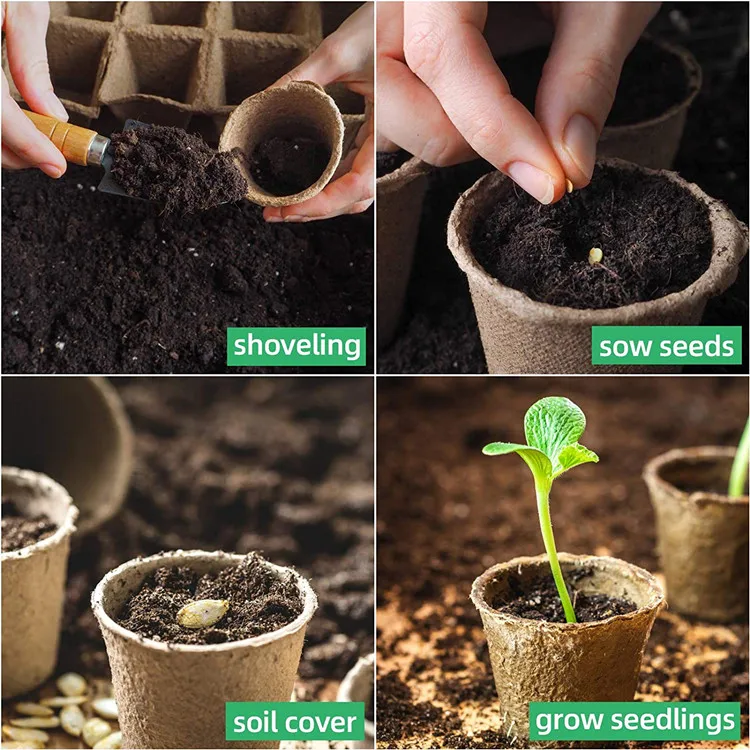 disposable Biodegradable paper Seed Starter Pots for starting flowers herbs vegetable saplings