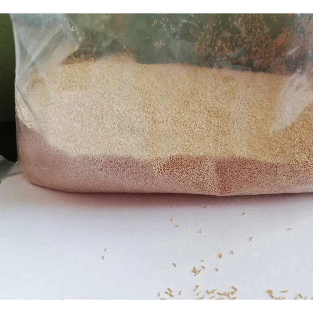 Active yeast powder spraying tower production line vertical circular drum boiling drying tower high-speed extrusion granulator