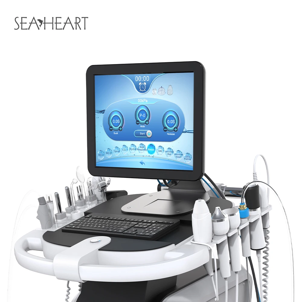 2024 new arrival style Skin Care Hydro Microdermabrasion Machine for face