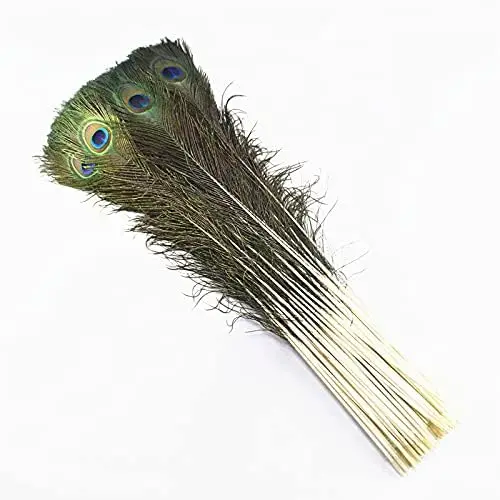 Supplier Wholesale Bulk Peacock Feathers For Floral Arrangements Wedding Home Party Decoration