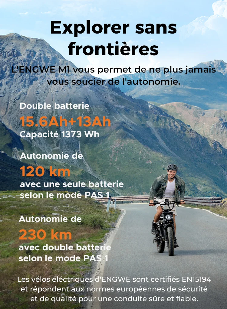 ENGWE M1 Single Battery Version  Electric Bibke  Max Speed 6KMH  48V 250W 15.6Ah Yellow Black Color EU warehouse 20*4.0 Tire