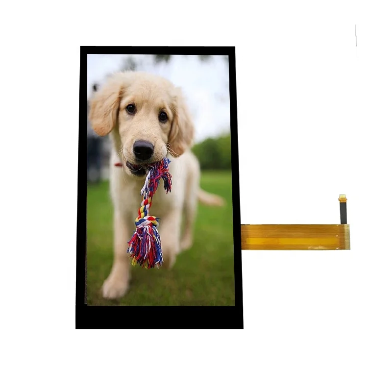 5.5 Inch 720*1280 MIPI Interface HD IPS LCD TFT Touch Display