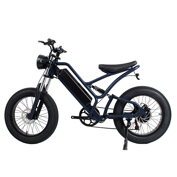 passenger 2 wheel electric fat tired cargo   .Front&Rear suspension  electric cargo bike ,factory electric ebike ,electric cycle