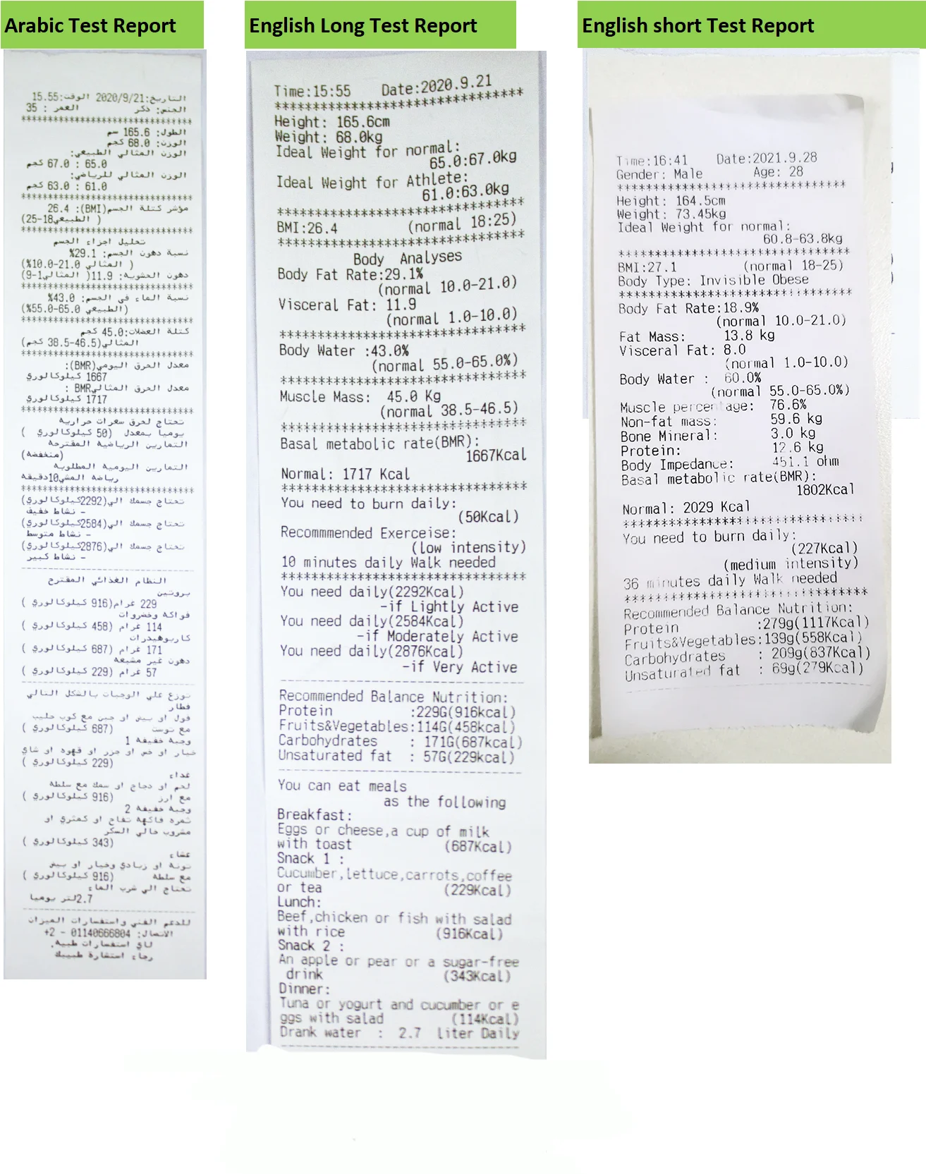 weight and height scale.png