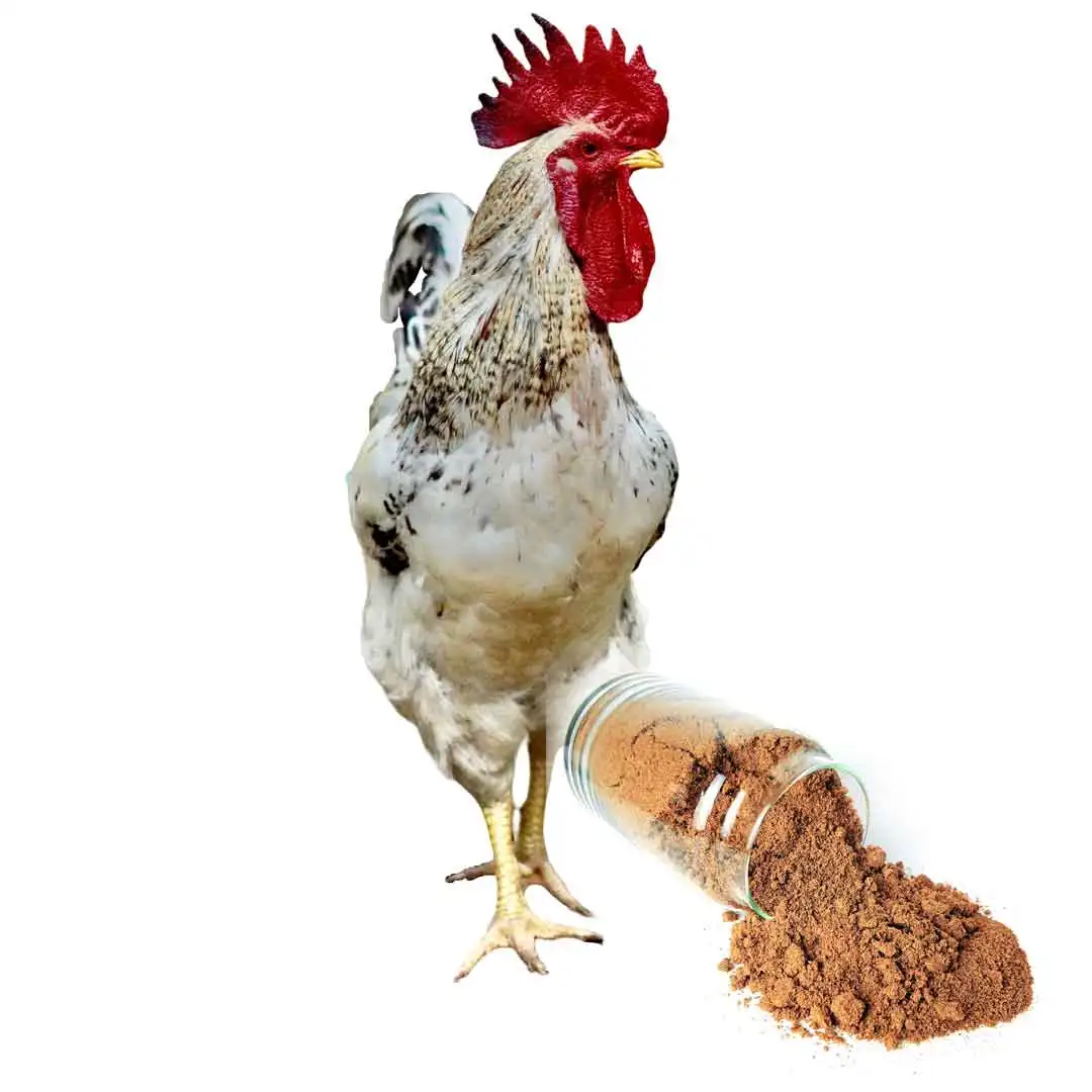 2023 Popular Feed Raw Materials Dried Mealworm Powder Feed Additives Pig Feed Additive Whole Meals