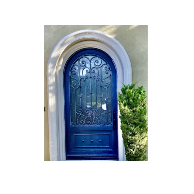 Modern custom arched wrought iron single entrance front doors for home