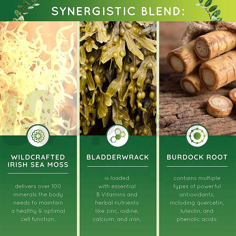 High Quality Organic Irish Sea Moss Burdock Root Powder with Private Label for Thyroid and Immune