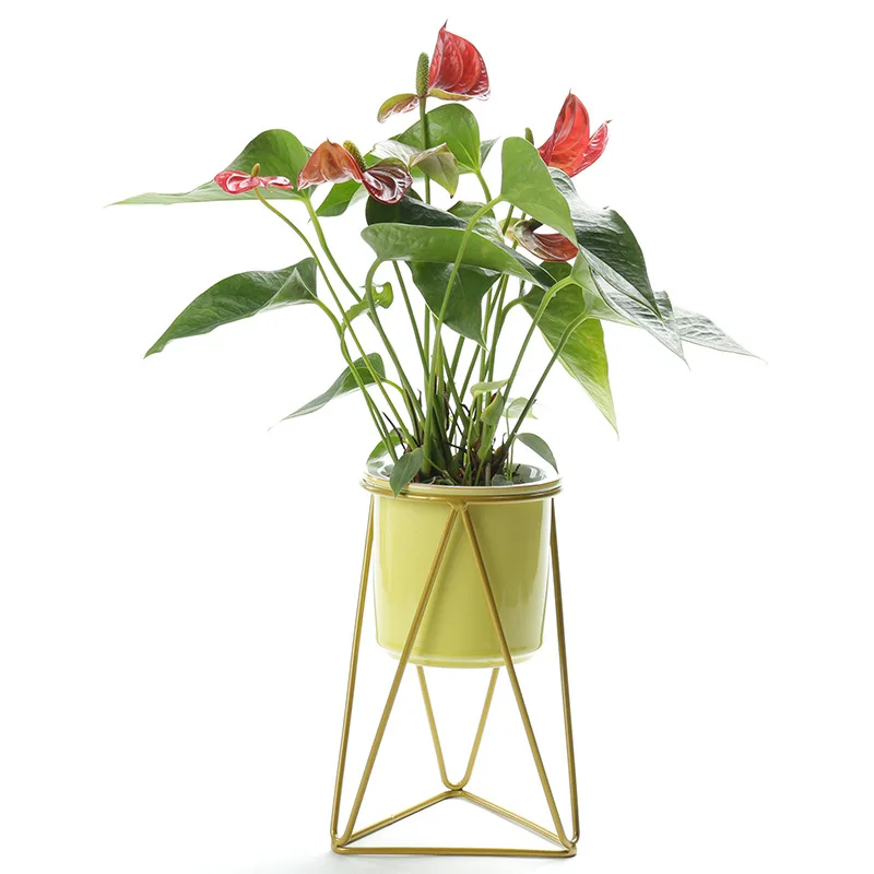 Nordic Succulent Simple Iron Frame Ceramic Hydroponic Green Plant Flower Pot Stand