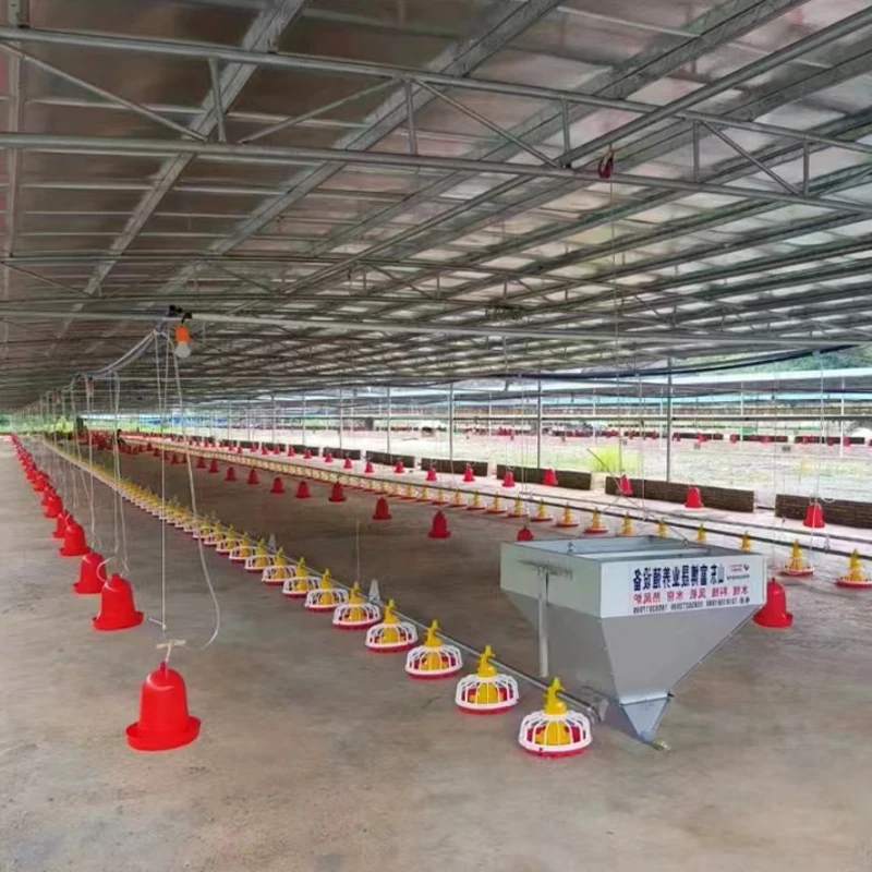 Automatic Steel Chicken Nipple Drinker Broiler Line Feeders and Drinkers Floor Pan System for New & Used Chicken Farming