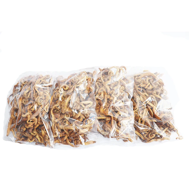 AlotFish hot sell Live Bait freeze-dry blood worm real fishing bait fat lure for sea fishing Soft worm bait