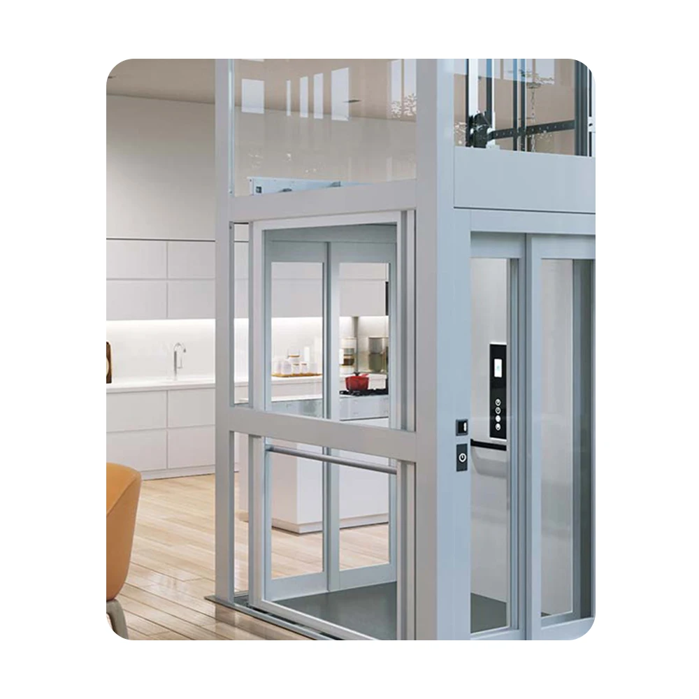 Hot Sale 4 Person 6 Person Traction outdoor China best selling automatic manual door home elevator