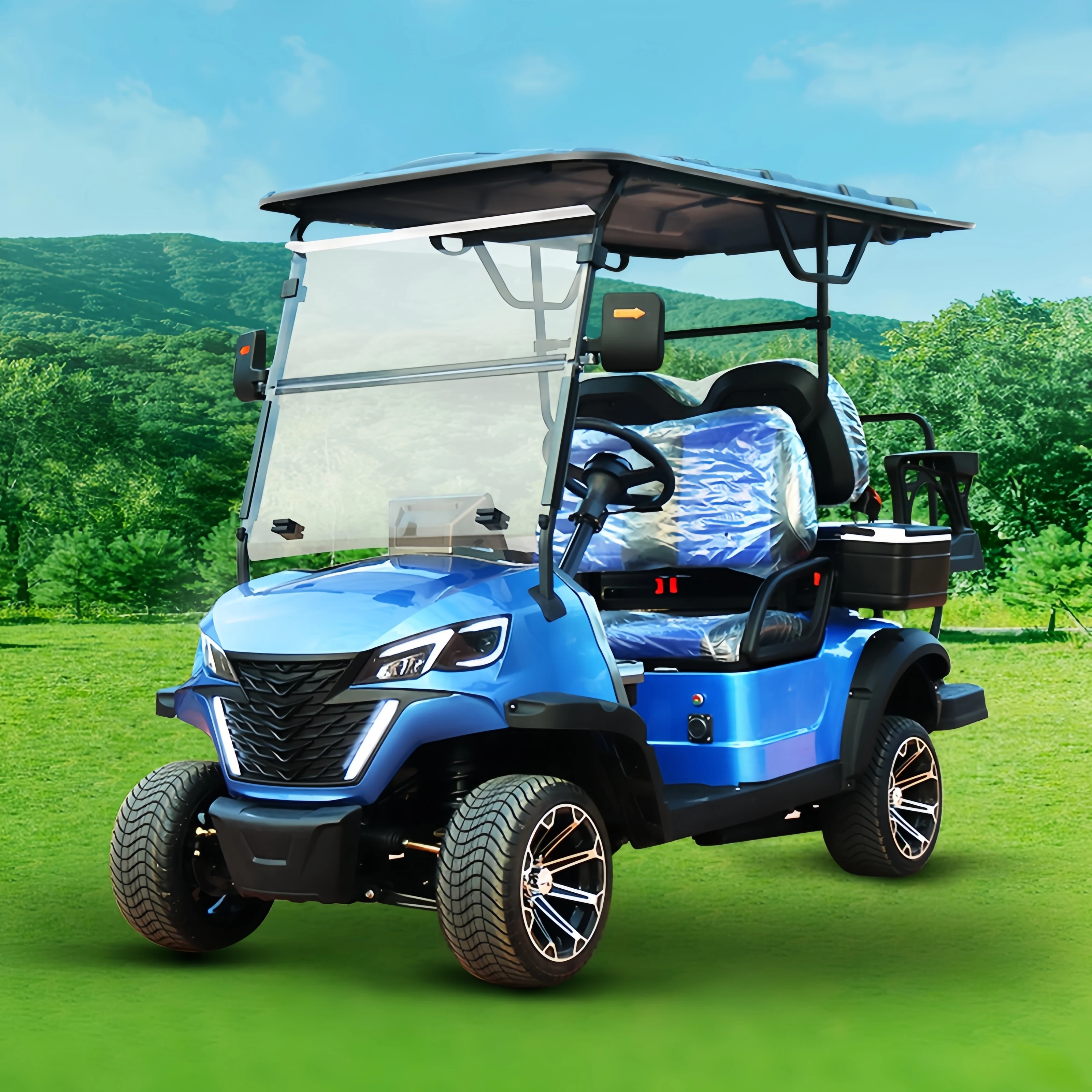 Wholesale Cheap Customized 6 Seats 48V Electric Golf Cart Buggy Style Golf Carts