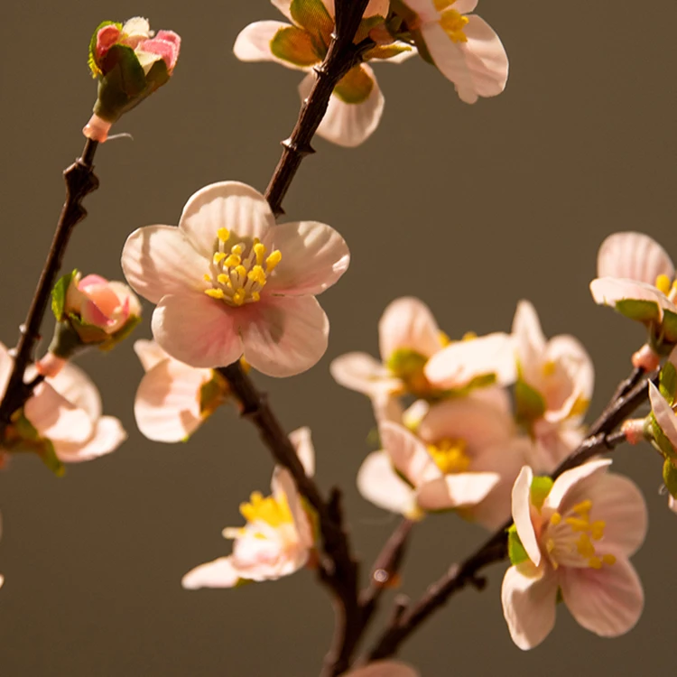 Peach blossom living room decoration flower branch new Chinese flower cherry moisturizing film decorative indoor dried flowers