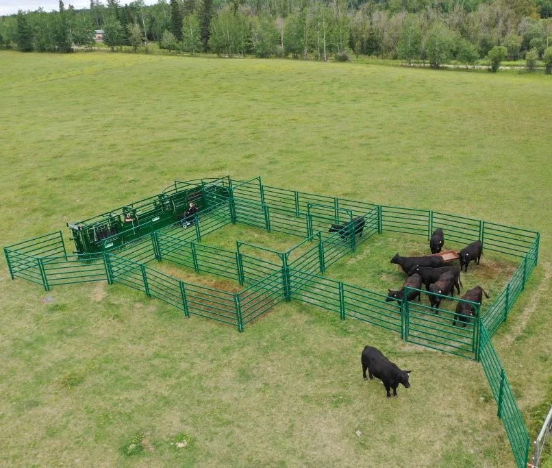 Custom Sheep panel Australia galvanized livestock sheep yard panels and goat fence panel for sale