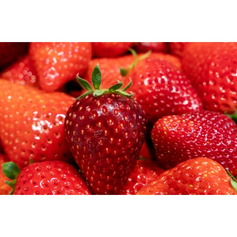 High quality juicy texture fully ripe dessert sweet fresh strawberry export