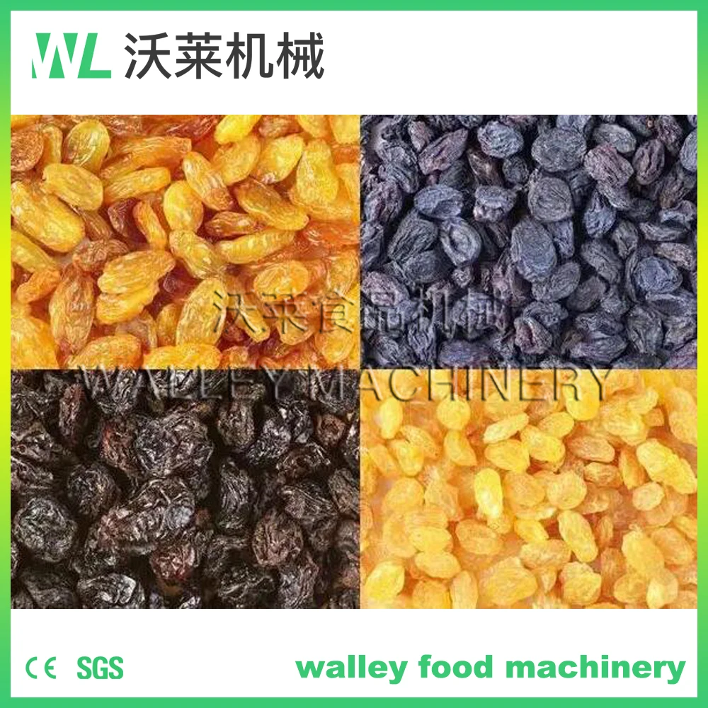 Factory Supply Price Industrial Gas-Fired Box Dryer Gas Food Dehydrator For Vegetables and Fruits