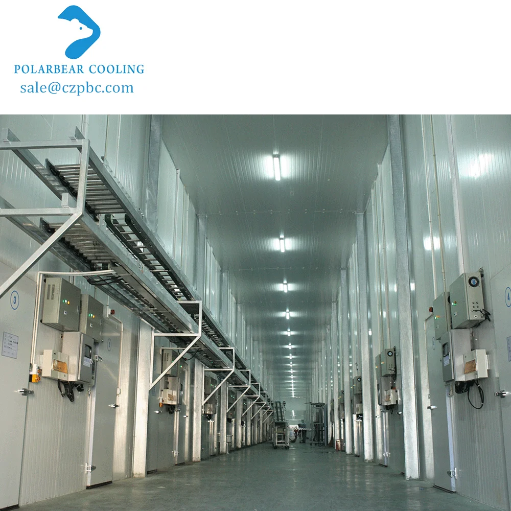 Factory Low Price Energy Saving Banana Ripening Machine Customized Cold Storage Cold Room Fruits And Vegetables Cold Chamber