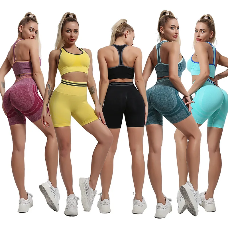 Hot sale seamless knit athletic active wear sports t shirt biker shorts scrunch butt leggings sets women long sleeve yoga set