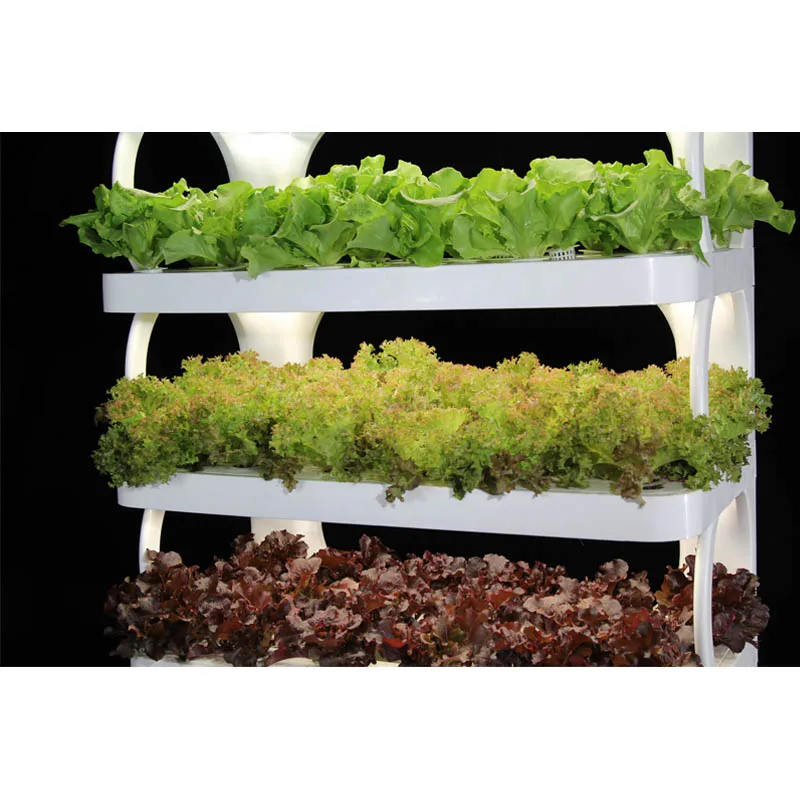 hydroponic tower indoor strawberry planting machine Smart Hydroponic Machine