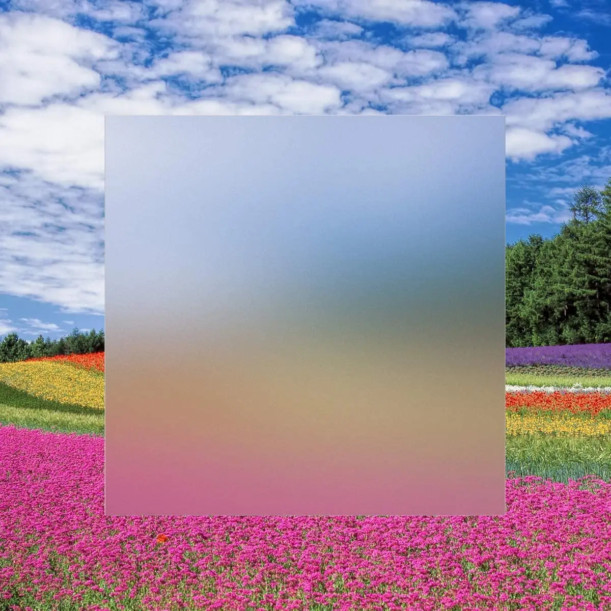 Лазерная резка, прозрачный матовый акриловый лист, люцит для DIY-проектов и дизайнерских вывесок, полки, Матовый акриловый лист