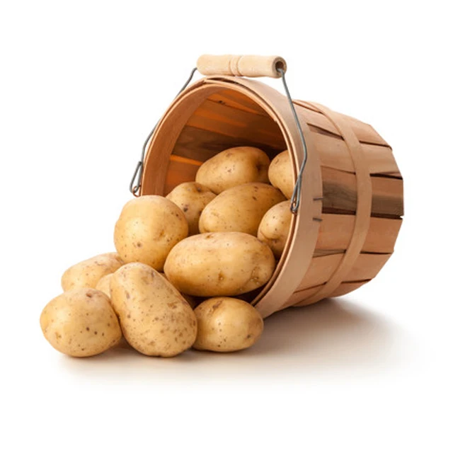 New crop Yellow fresh potato Wholesale fresh vegetables New fresh potato