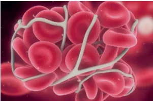 Анализатор иммунофермента DSC автоматический биохимический анализатор LIBS