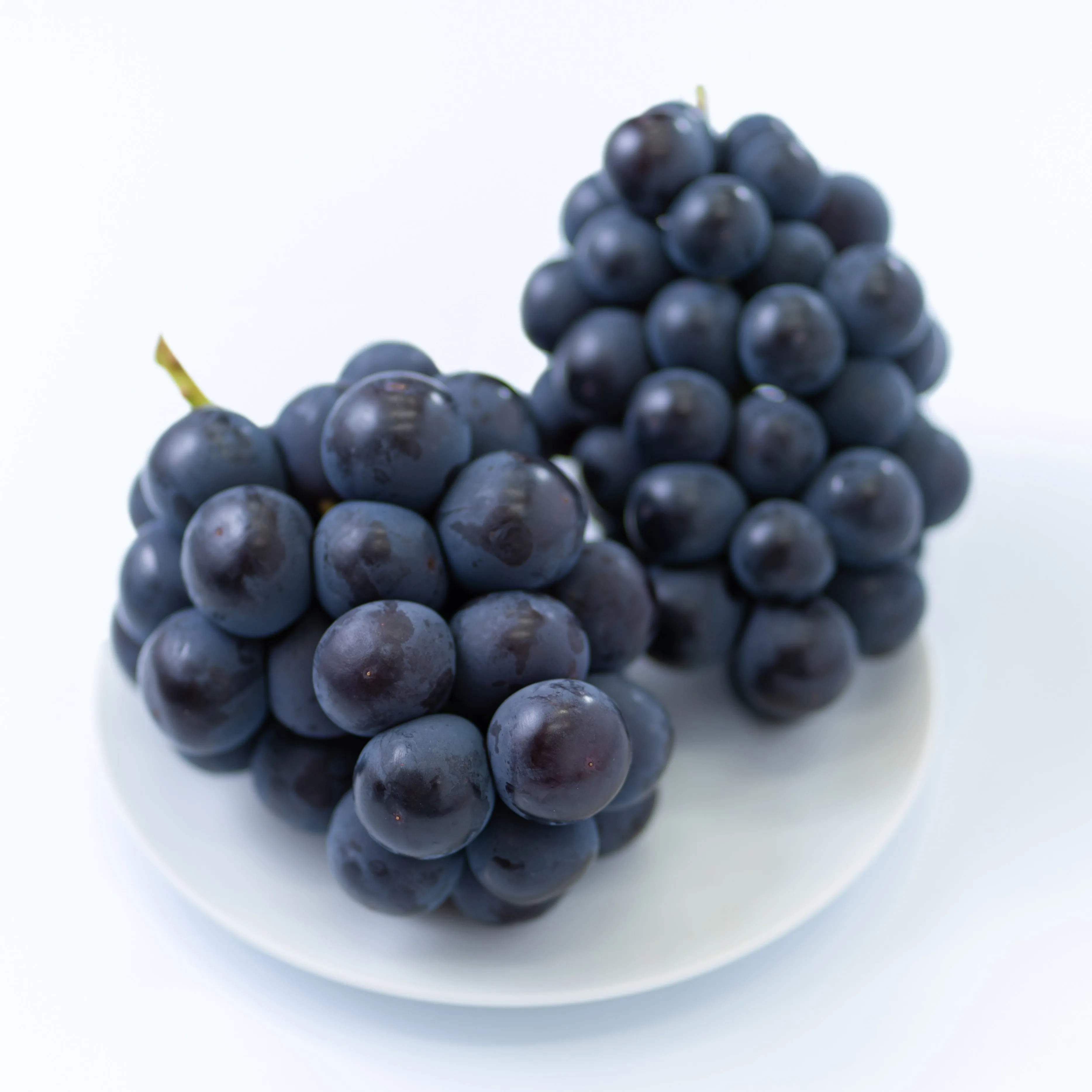 Оптовая продажа, выращивание по разумной цене, сбор виноградного вкуса