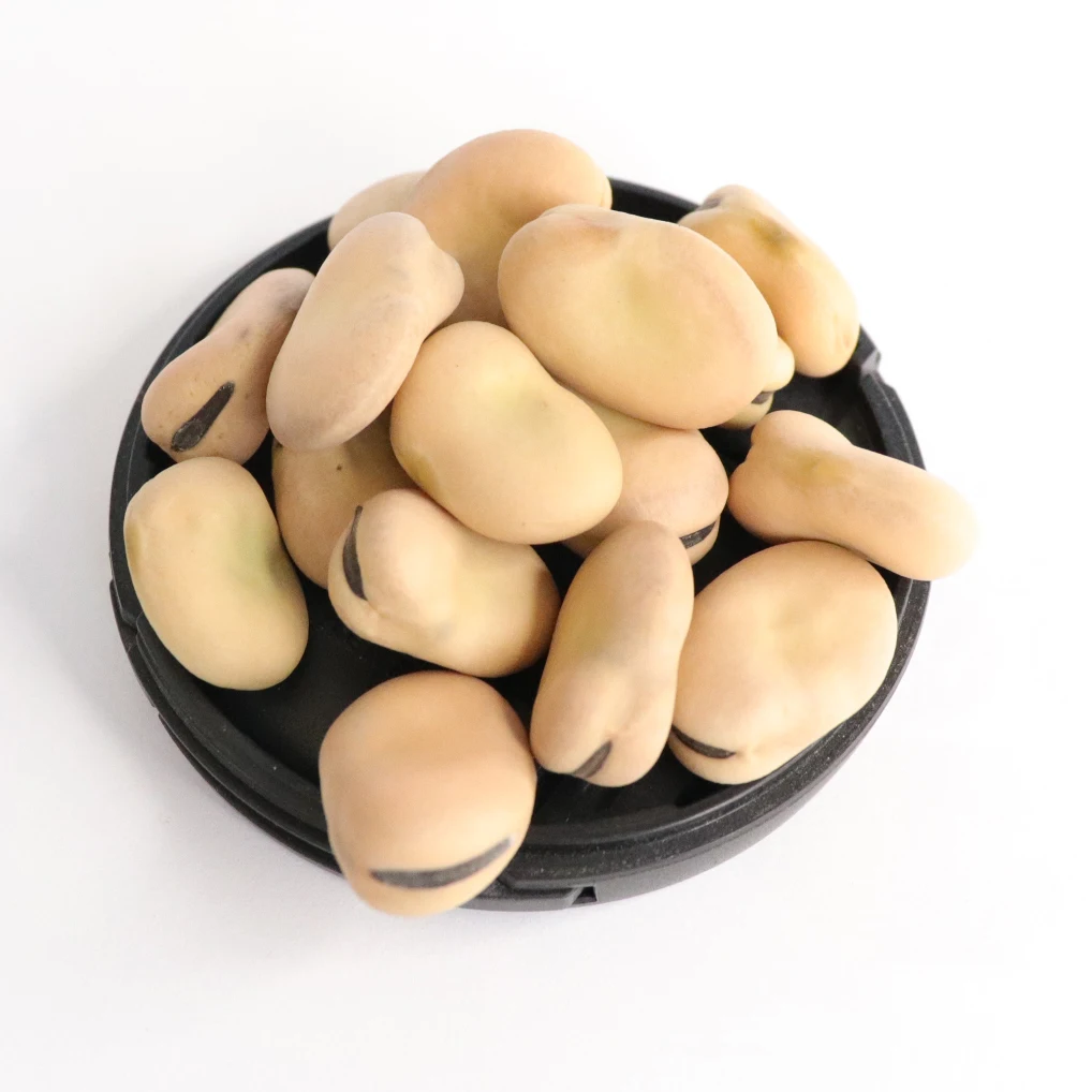 Оптовая продажа сушеных органических зерен 60-70 на 100 г фасоли Faba Fava Beans цена