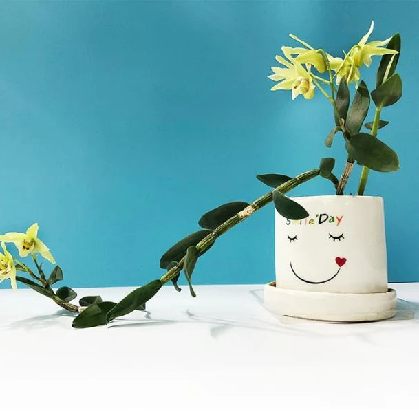 
Lucky angel bonsail gift cartoon suit cute ceranic grass dolls 