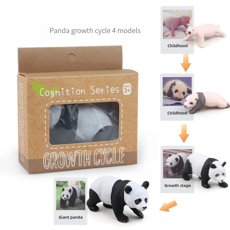 Montessori Life Cycle Learning & Education Toys Plastic Insect Ladybug Monarch Butterfly and Tadpole-to-Frog Kit for Kids