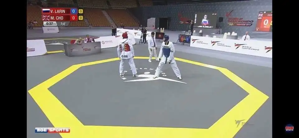 12m*12m*2.5cm taekwondo roll mat for sale