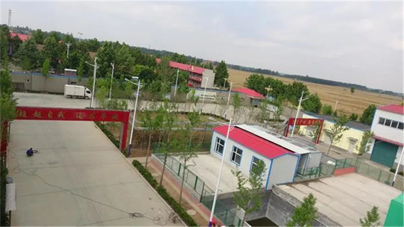 Factory direct supply ginger powder water soluble ginger extract powder 10%