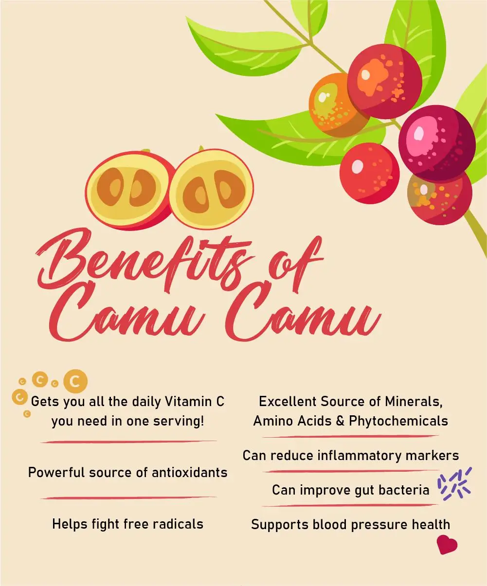 Best quality pure Camu Powder/organic camu camu powder