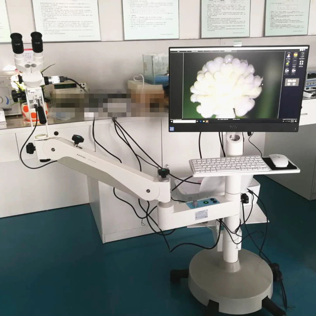 Kernel KN-2200BII Integrated 3D Medical Optical Colposcope for Gynecology Vaginal Diagnosis Auto-focus Digital Colposcope