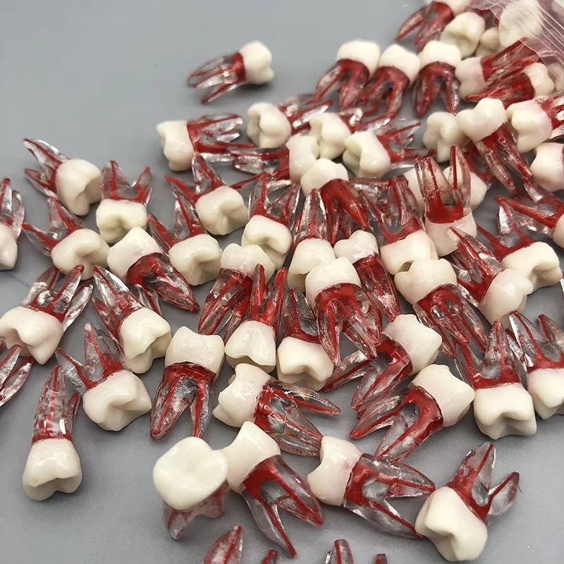 Dental root canal training model dental study model  Root canal endo training block  Student practice