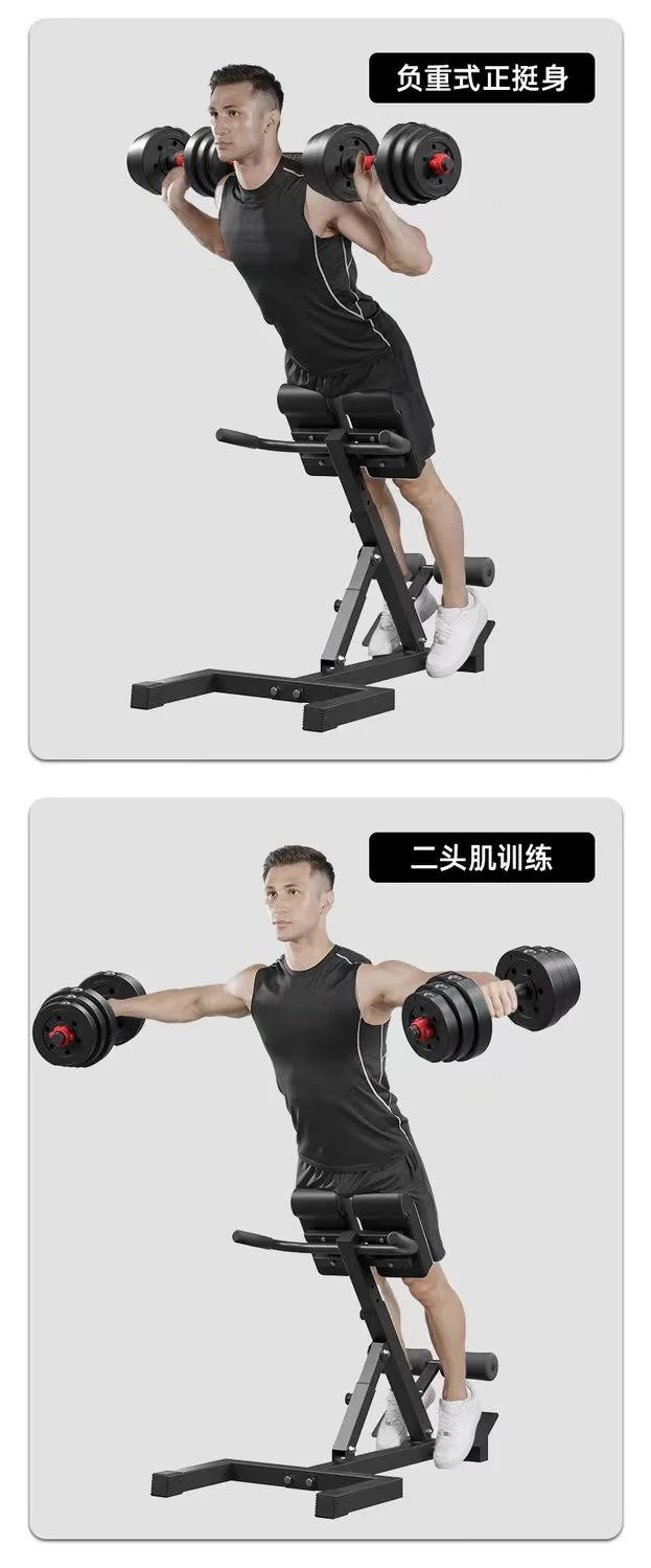 TARY Wholesale Fitness Steel Training abdomen Training Machine sport equipment Foldable Weight Bench