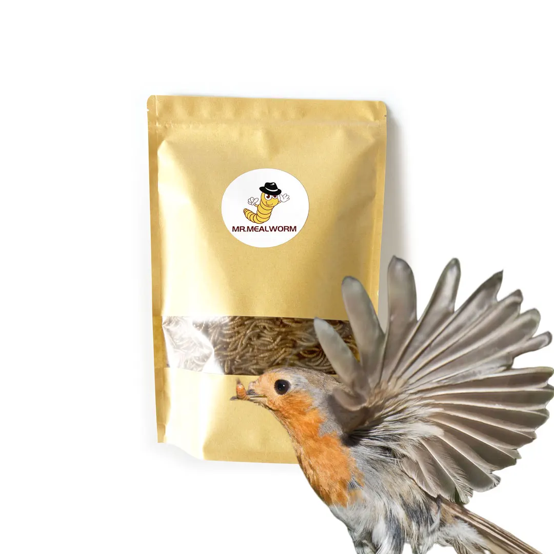 Hamster Food Dried Mealworms/High Protein Dried Meal Worm For Animal Feed