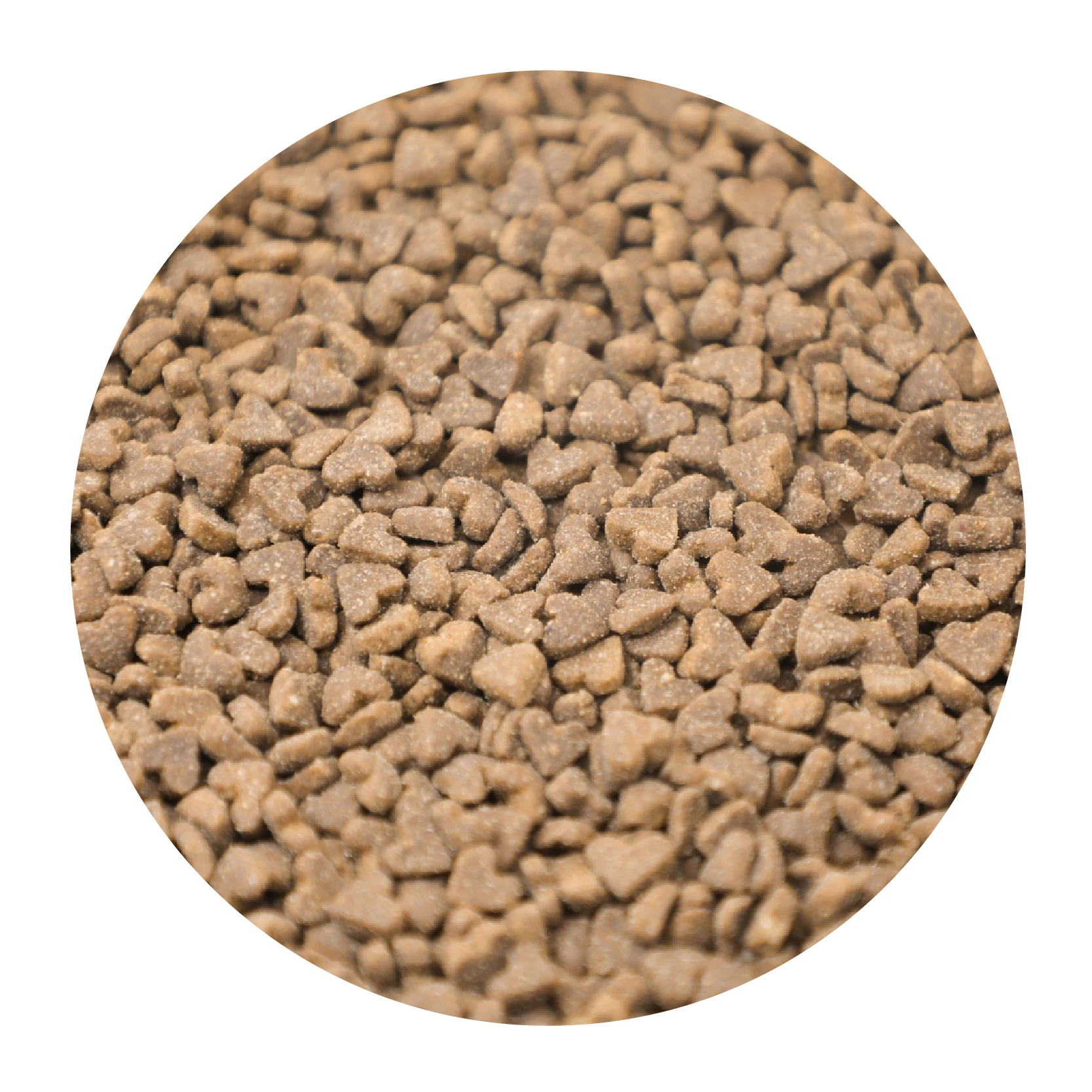 Grain-Free Dry bulk dog Cat food  Chicken & Salmon Formula